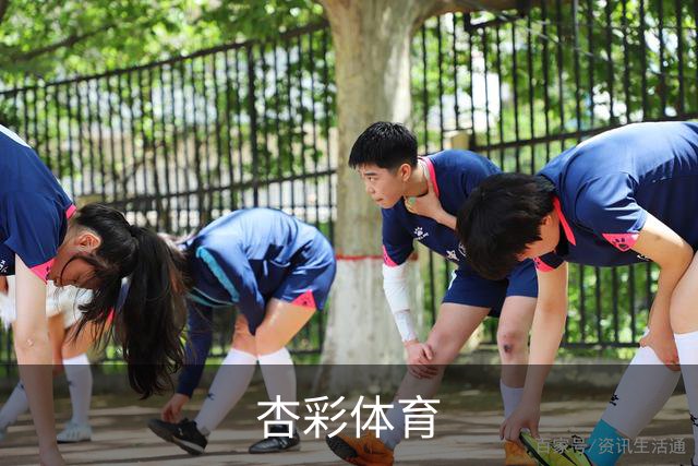 关于杏彩体育